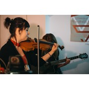 Hollarka v artrafice 2019