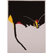 2. ročník, Šimon Fibrich, Ilustrace ke knize Tracyho tygr