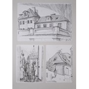 1. ročník,  Karel Dorofev