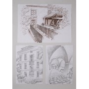 1. ročník, Martina Žaloudíková