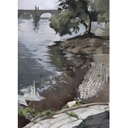 2. ročník, Oliver Svatoš